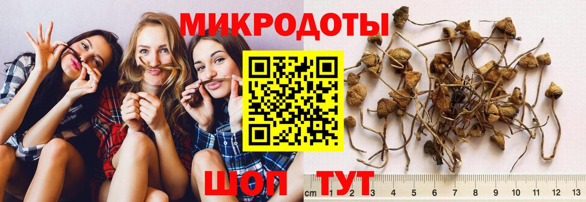 купить наркоту  Псилоцибиновые грибы ЛСД  Вход с VPN  Рассказово 